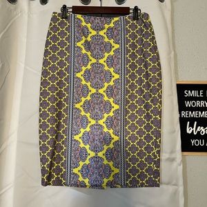 The Limited Skirt